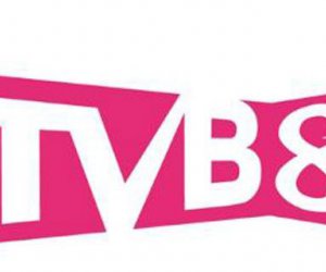 tvb8ͣԭ