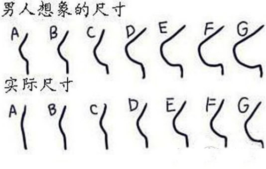 a到f罩杯的示意图 罩杯大小和啥水果一样大