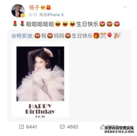 黄圣依的两个儿子：Andy杨安迪和Anlin杨安麟的年龄及照片