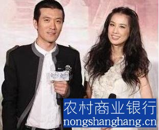 揭秘巨力集团杨子的显赫家世及其妻子陶虹的家庭背景照片