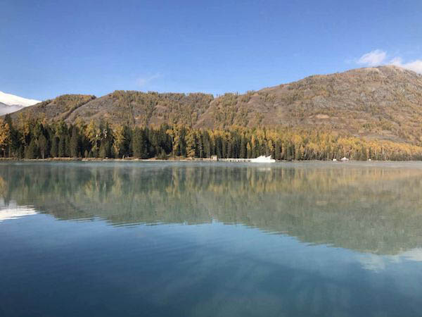 揭秘眉公河巨鲶体型巨大原因：优越生长环境与丰富食物资源