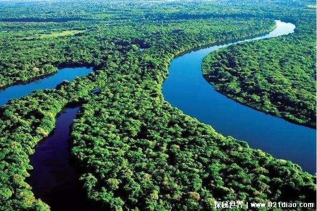 世界上最大的平原top10,亚马逊平原第一(中国两个上榜)