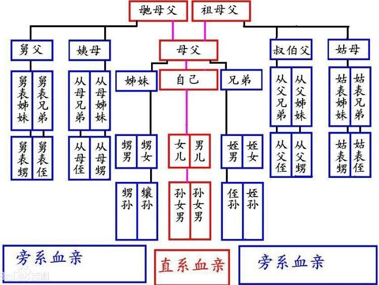 钱学森家谱辈分排字图图片